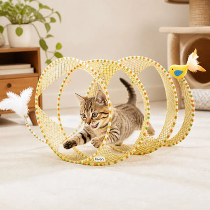 Cat Spiral — lifestyle