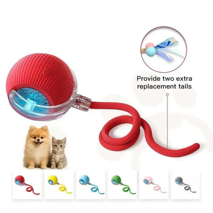 Kivori Speedy Tail™ Kivori