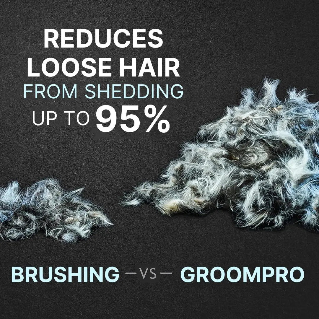 Pet DeShedding Brush - the GroomPro Kivori