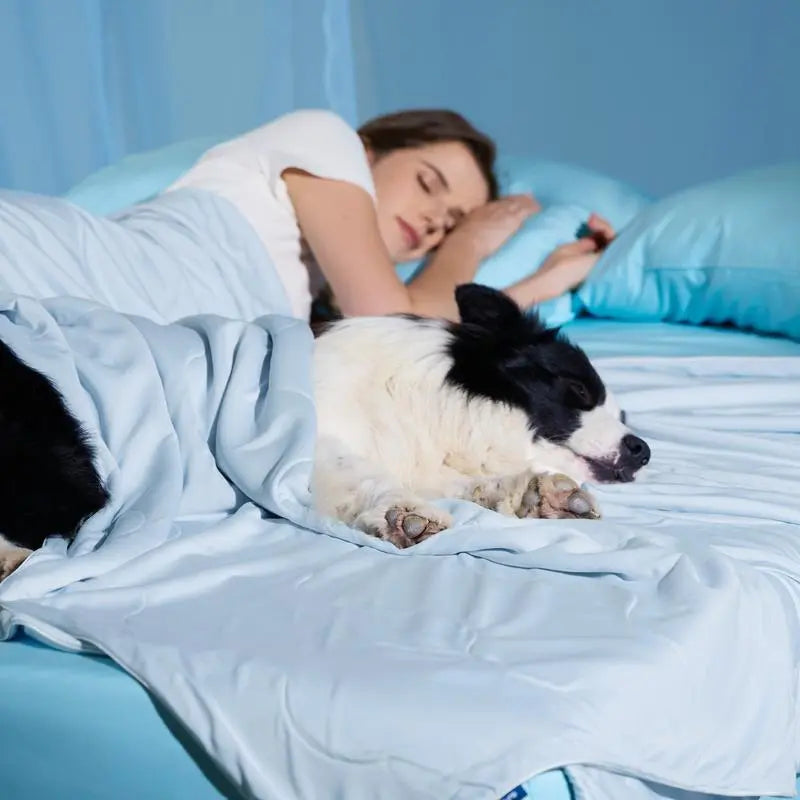 Summer Pet Cooling Blanket™ Kivori